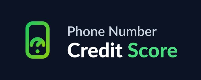 Phone Number Credit Score (Venture Matching LLC)
